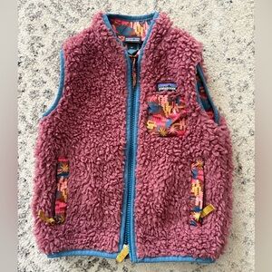 Patagonia Multicolor Fleece Vest